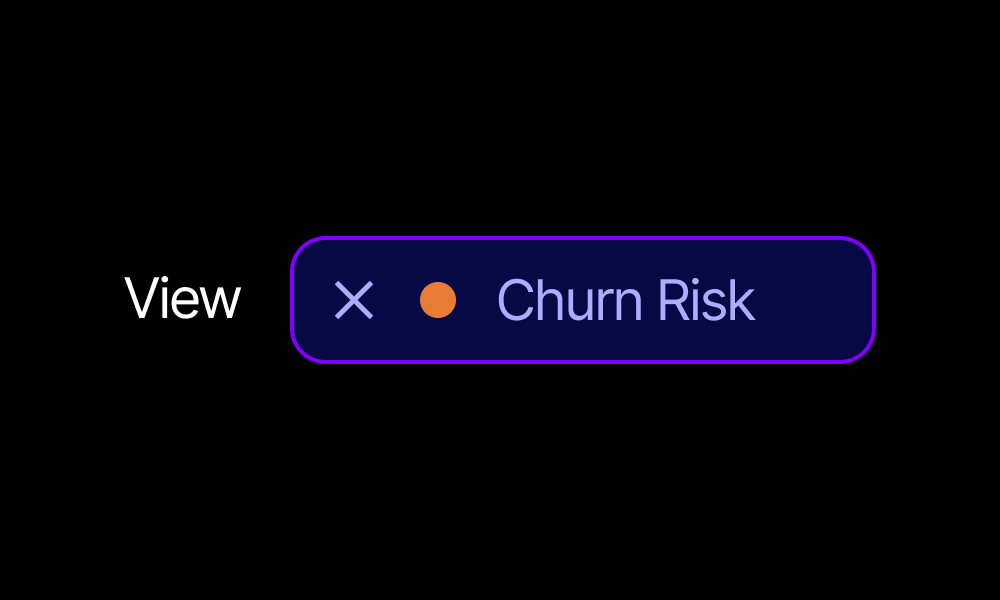 Get visibility into every renewal risk.