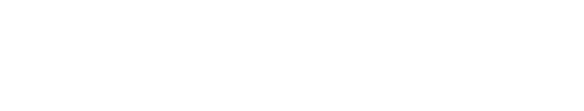STACKHAWK Logo